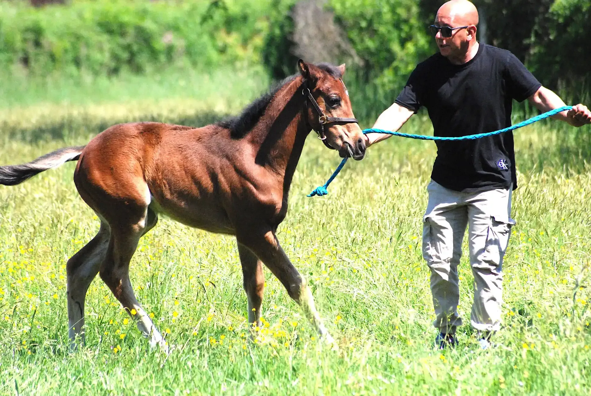 Istruttore con cavallo
